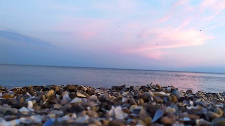 Свежие новости: Відпочинок у Коблівській громаді в сезон 2023 року буде недоступним