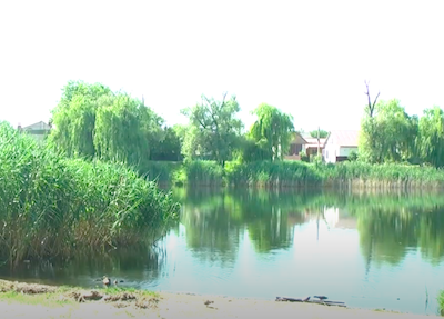 Свежие новости: ВИДЕО: В Первомайске активисты приводят в порядок заброшенное озеро
