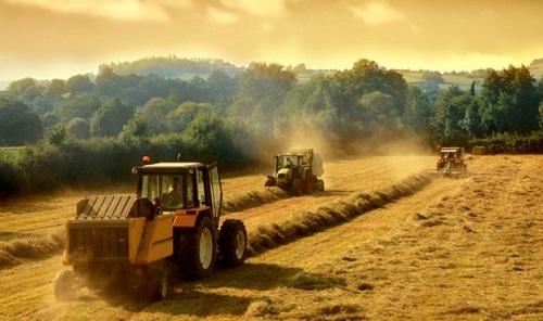 Фото новости: Всемирный банк выделит украинским аграриям 200 млн долларов Свежие новости: Всемирный банк выделит украинским аграриям 200 млн долларов
