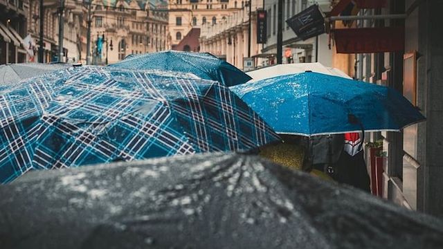 Свежие новости: 