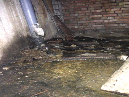 Свежие новости: «Крысы, тараканы и мошки», - жители николаевской многоэтажки с начала года просят Департамент ЖКХ отремонтировать канализационную трубу