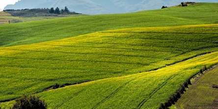 Свежие новости: Зеленский подтвердил намерения провести земельную реформу