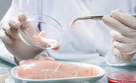 Свежие новости: Госпотребслужба обнаружила сальмонеллу на «Южноукраинском комбинате питания»