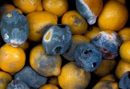 Свежие новости: Детей в школах и садиках оккупированного Симферополя кормили просроченными продуктами