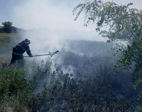 Свежие новости: За сутки на Николаевщине пожарные 14 раз тушили загоревшуюся сухую траву