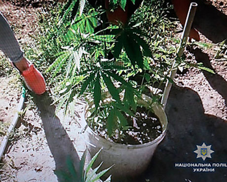 Свежие новости: Житель Вознесенска хранил дома наркотики и оружие «для употребления и самозащиты»