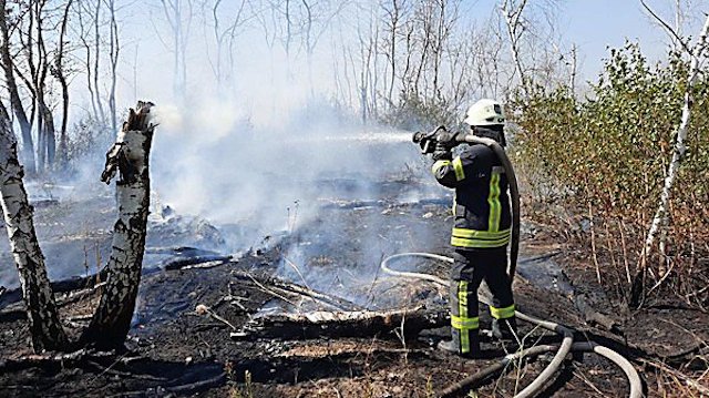 Фото новости: На Николаевщине ожидается чрезвычайный уровень пожарной опасности, – ГСЧС Свежие новости: На Николаевщине ожидается чрезвычайный уровень пожарной опасности, – ГСЧС