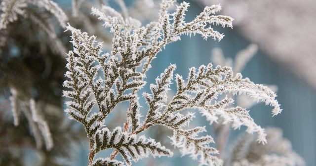 Свежие новости: Украинцев предупредили о сильном похолодании в начале следующей недели