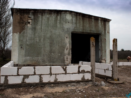 Свежие новости: В Вознесенске для приюта бездомных животных нашли здание