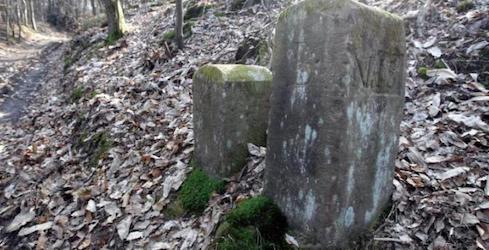 Свежие новости: Бельгийский фермер случайно передвинул трактором границу с Францией