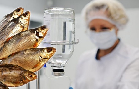 Свежие новости: Мужчина умер от ботулизма из-за вяленой рыбы, которую ему прислали “Новой почтой”