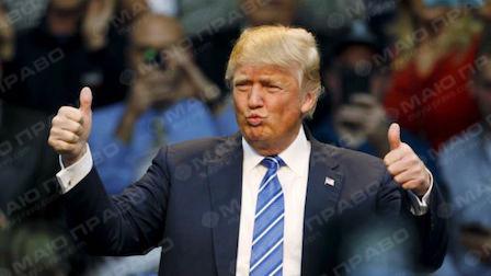 Свежие новости: Давайте заключим мир: Трамп обратился к Украине и России