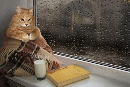 Свежие новости: Завтра в Украине ощутимо похолодает