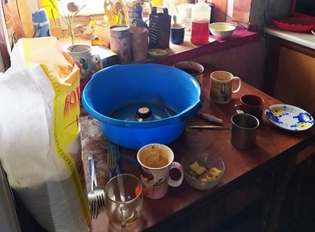 Свежие новости: На Николаевщине из-за недосмотра у родителей изъяли 3-х детей