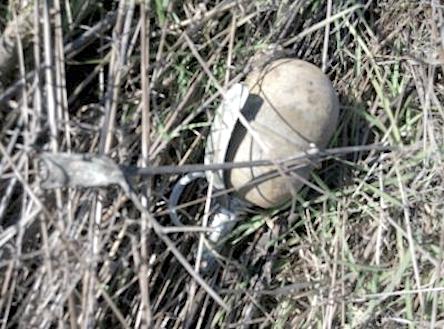 Свежие новости: На Миколаївщині прикордонники на березі лиману виявили бойову гранату