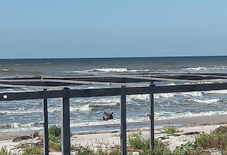 Свежие новости: На Одещині вирішили відкрити пляжі для відпочиваючих – військові вважають це недоречним