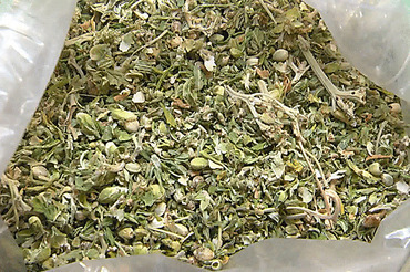 Свежие новости: В Одессе задержали наркоторговцев, которые продавали амфетамин и марихуану в Коблево