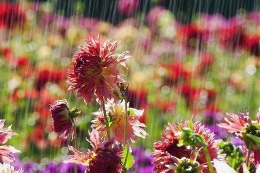 Свежие новости: Сойдутся две стихии: синоптики предупредили об изменении погоды в Украине