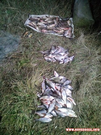 Свежие новости: В Новоодесском районе поймали рыбных браконьеров