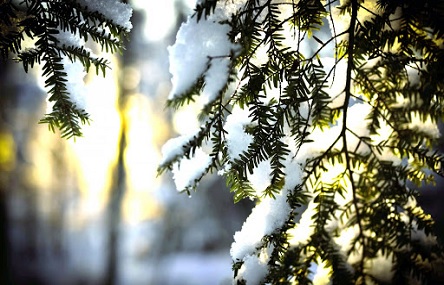 Свежие новости: Синоптик рассказала, где на выходных в Украине выпадет снег и выйдет Солнце