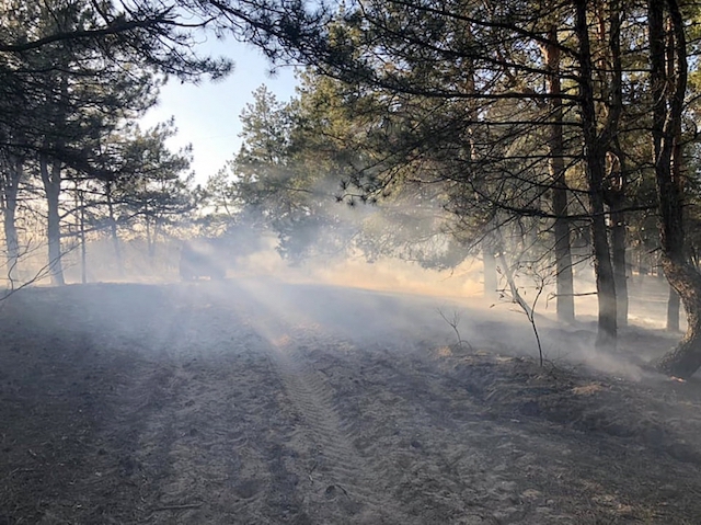Свежие новости: В Николаеве горит Балабановский лес