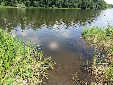 Свежие новости: Из реки Южный Буг извлекли тело утопленника