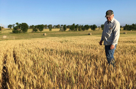 Свежие новости: 