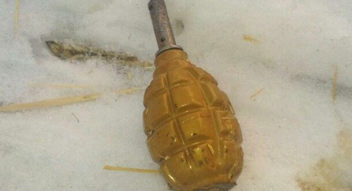 Свежие новости: В Киеве пьяный мужчина с гранатой грозился взорвать квартиру