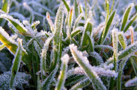 Фото новости: 11-12 апреля в Николаевской области ожидается ухудшение погодных условий Свежие новости: 11-12 апреля в Николаевской области ожидается ухудшение погодных условий