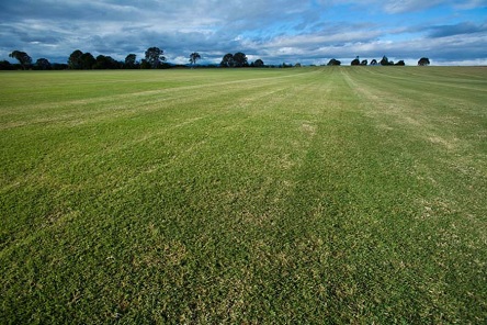 Свежие новости: В Вознесенском районе суд вернул государству земельный участок стоимостью 3 млн грн