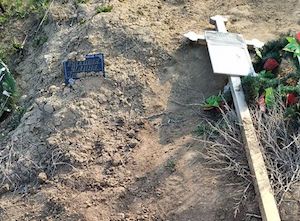 Свежие новости: В Николаеве в кладбищах хотят повторно хоронить на старых могилах