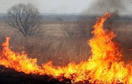 Свежие новости: На Украину надвигается чрезвычайная пожарная опасность