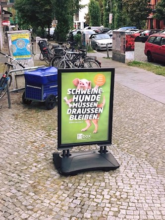 Свежие новости: 