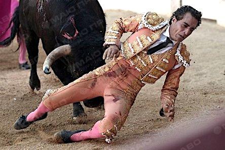 Свежие новости: ВИДЕО:  Во Франции впервые за 100 лет бык убил матадора