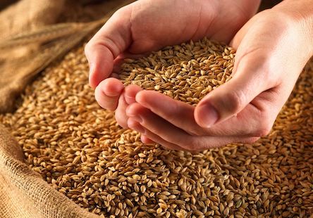 Свежие новости: ДП 