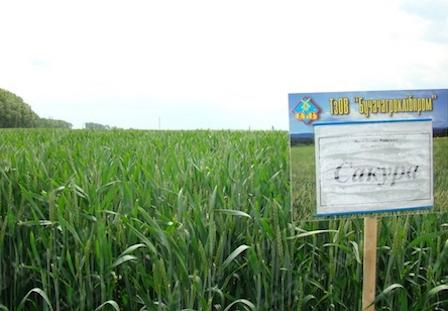 Свежие новости: Чиновница из Снигиревки заняла пятое место в ТОП-15 чиновников-латифундисто