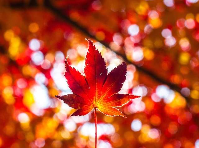 Свежие новости: В Украину идет похолодание с морозами: синоптики назвали дату