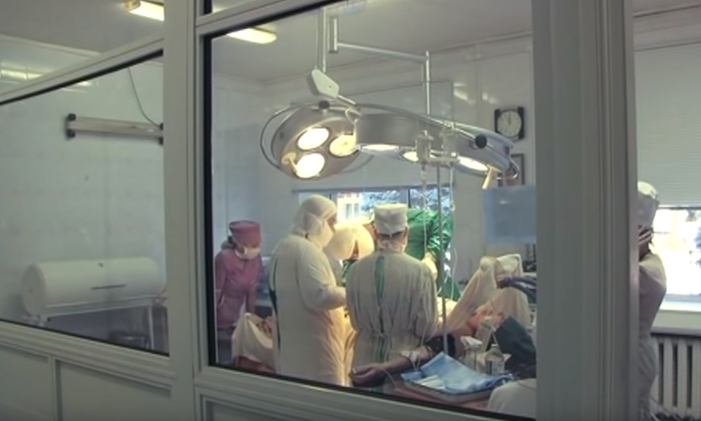 Свежие новости: На Николаевщине женщина заразилась «сердечным» глистом