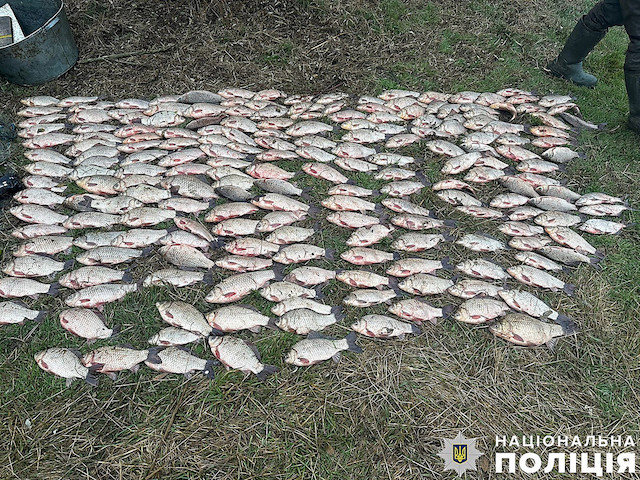 Свежие новости: На Миколаївщині піймали браконьєра з двома центнерами карася