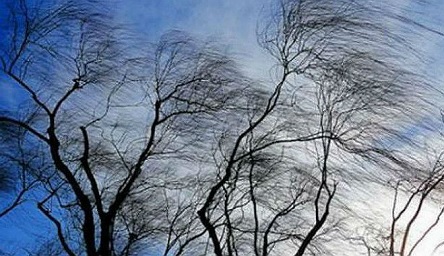 Свежие новости: Завтра в Николаеве синоптики обещают сильный ветер