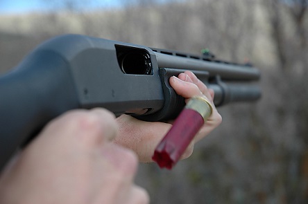 Свежие новости: На Николаевщине в ссоре из-за собаки мужчина застрелил соседа – суд его амнистировал