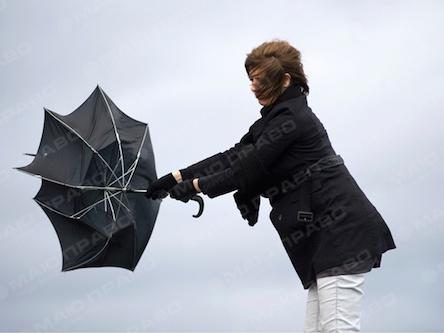 Свежие новости: Служба автодорог просит николаевцев воздержаться от поездок и подумывает закрыть трассы