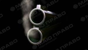 Свежие новости: В Новоодесском районе пенсионер устроил стрельбу из ружья