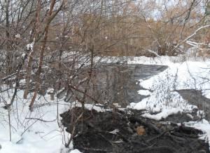 Свежие новости: На Николаевщине поймали водителя сливающего нечистоты в посадку. ВИДЕО