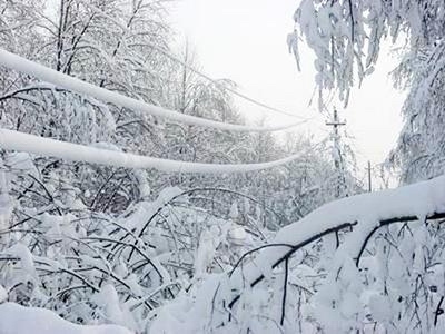Свежие новости: В Одесской и Николаевской областях ожидается налипание мокрого снега
