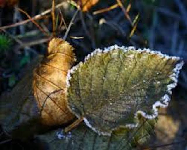 Свежие новости: В Україні очікується серйозне похолодання