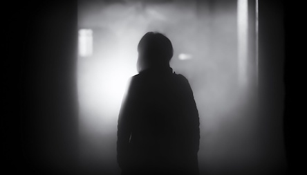 Свежие новости: 