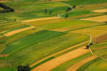 Свежие новости: Максимальный размер земельного участка хотят ограничить до 200 га