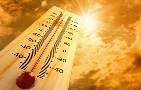 Свежие новости: Аномальная жара в Канаде: количество погибших возросло до 33