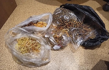 Свежие новости: СБУ изъяла больше 800 кг янтаря, который хотели вывезти в Азию